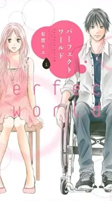 Portada de Perfect World