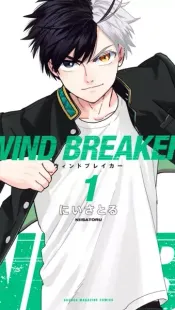 Wind Breaker