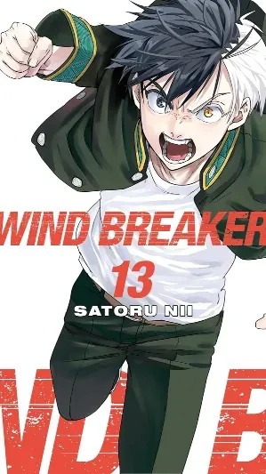 Cover of volume WIND BREAKER Vol. 13 from Wind Breaker
