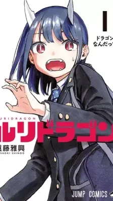 Cover of Ruri Dragon