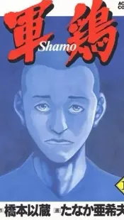 Shamo