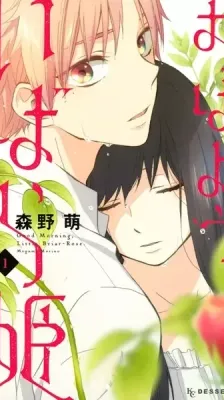 Cover of Wake Up, Sleeping Beauty