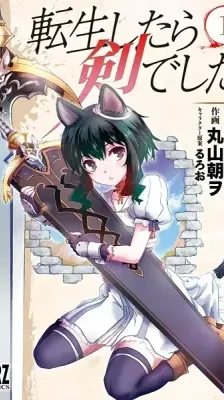 Cover of Reincarnated as a Sword