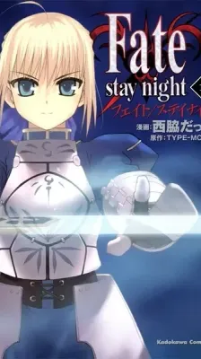 Cover of Fate/stay night