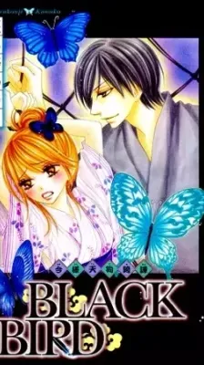 Portada de Black Bird