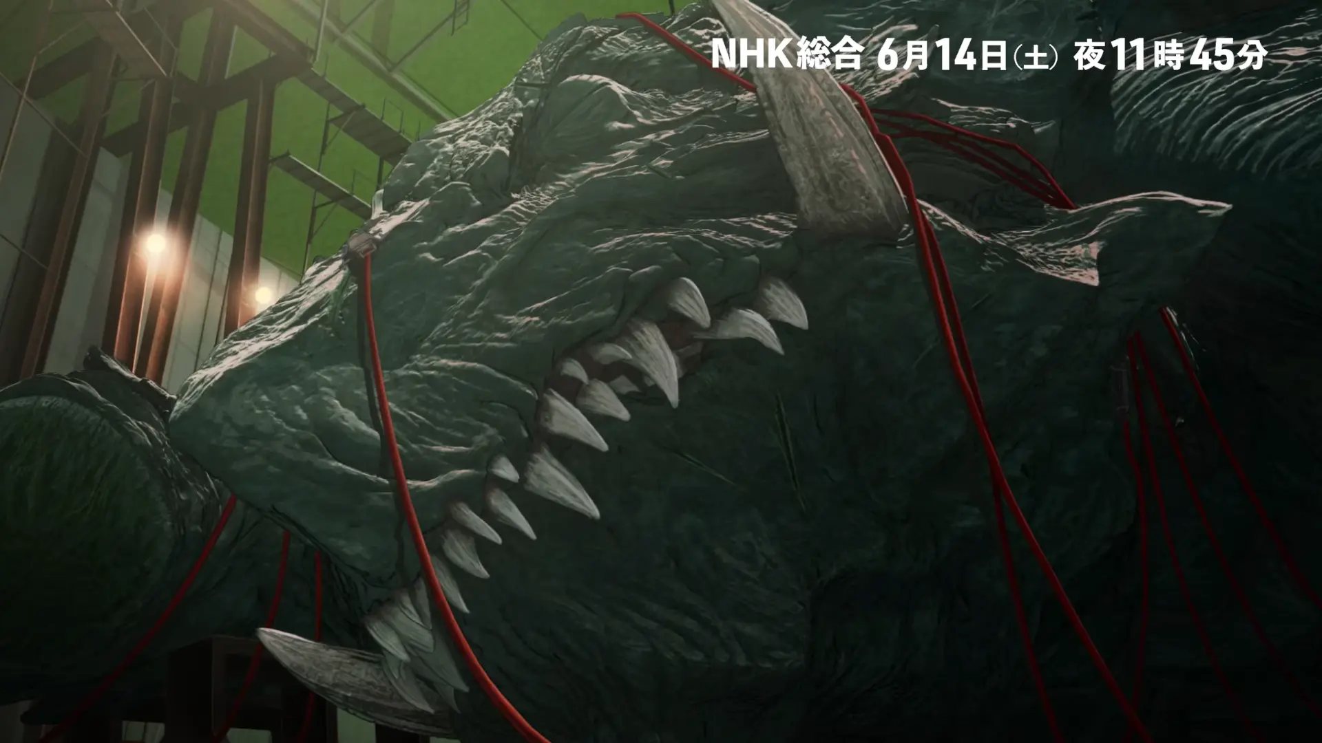 gamera1