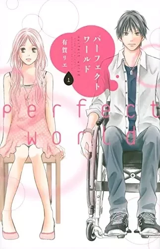 Cover of Perfect World