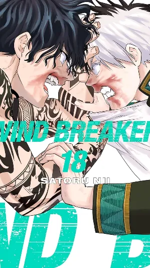 WIND BREAKER 18