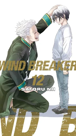 Wind Breaker 12