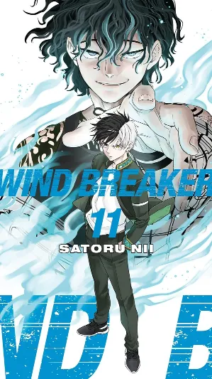 Wind Breaker 11