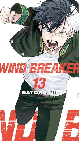 WIND BREAKER Vol. 13